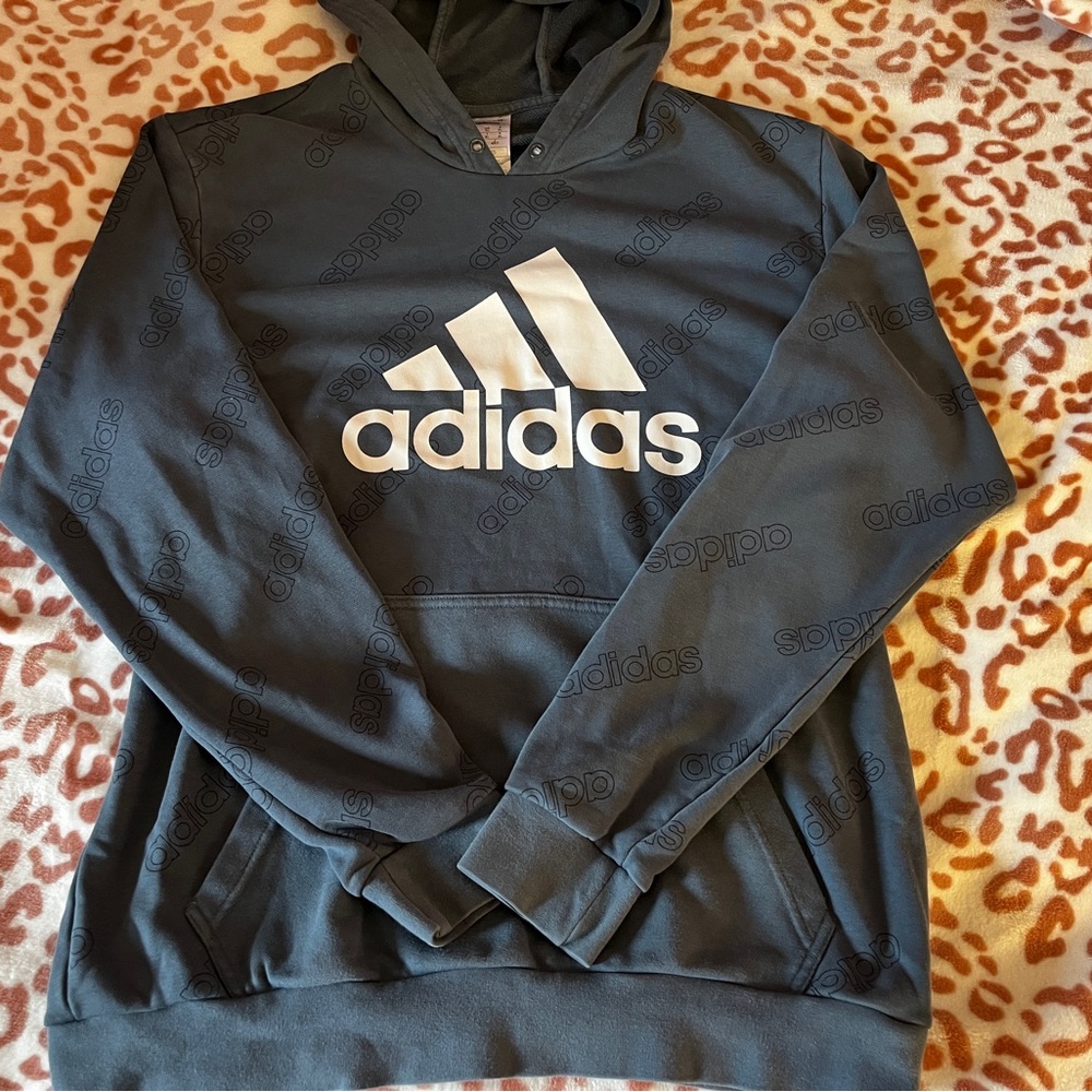 Adidas Men's Blue hoodie